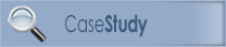 website design case study
